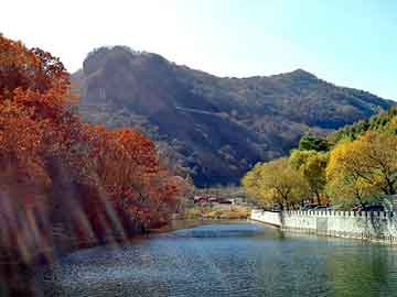 澳门二四六天天彩图库，雷泰涂胶